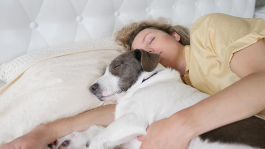 tips sleeping with pets