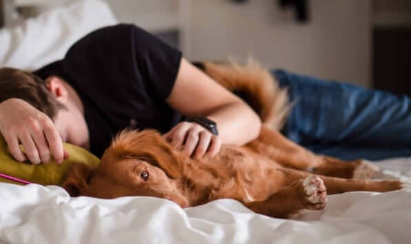 Travel With Sleep Apnea Without CPAP Tips for Planes Hotels and Work Trips