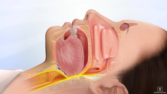 What Doctor Should I See For Sleep Apnea?