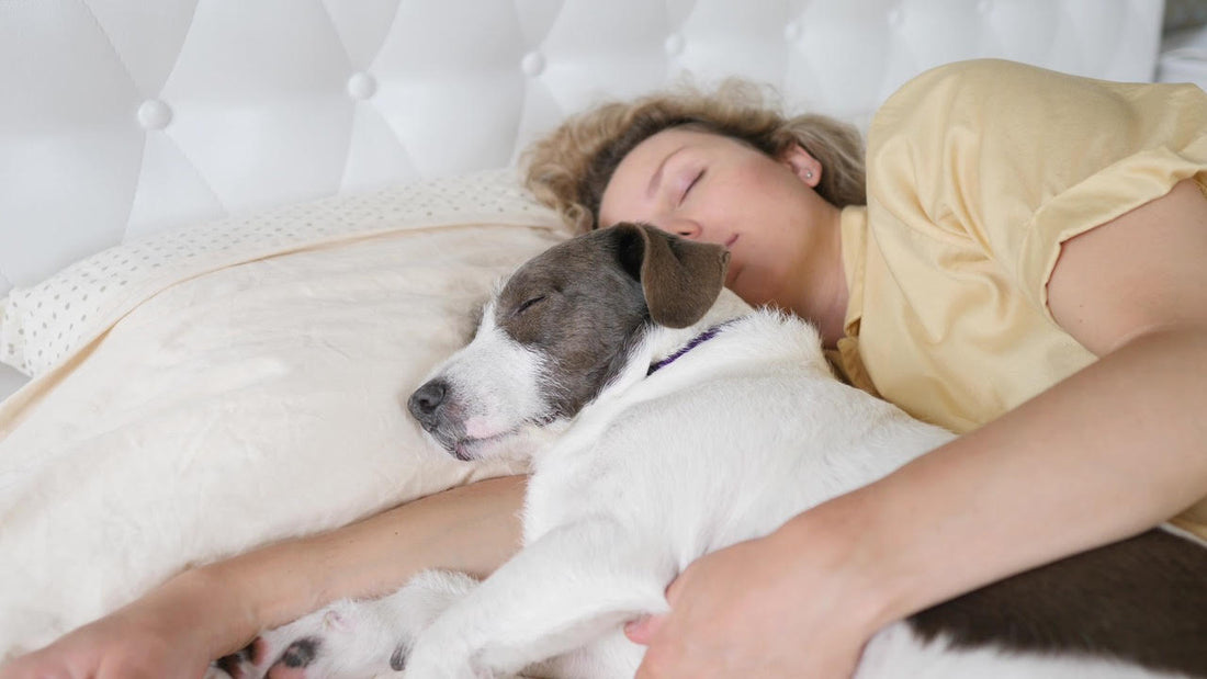 tips sleeping with pets
