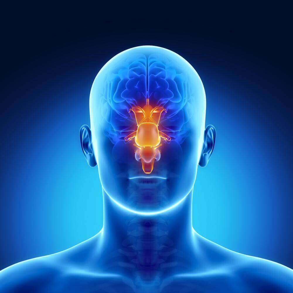rhinite hypertrophique
