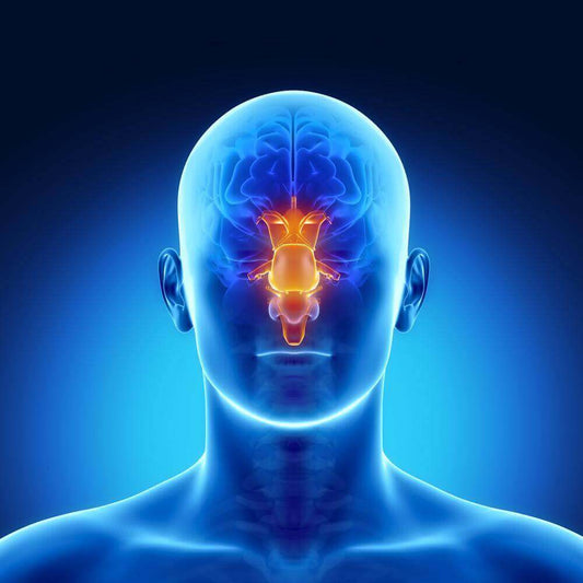 rhinite hypertrophique