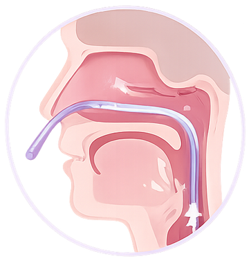 Soporte de las vías respiratorias